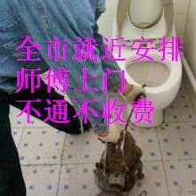 合肥瑤海區志邦家政服務部 專業家政服務，為您的家庭煥發溫馨與潔凈